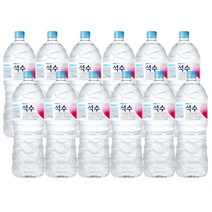 진로 석수 생수 2리터 생수2L 6개 12개 6펫 12펫 생수묶음 먹는샘물, 24개, 2l