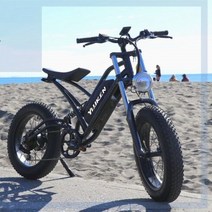 전기 팻바이크 클래식 레트로 MTB자전거 350w-750w 전기 산악 먼지 자전거 1000w 750w ebike 지방 타이어, 한개옵션0