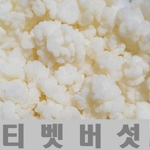 티벳버섯 케피어그레인, 30cc