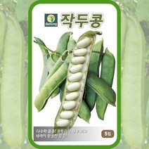 작두콩종자 작두콩 씨앗 5립 텃밭채소, 단품