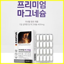 ZANTIVA 마그네슘 60정 독일 산화마그네슘 이눌린 영양제 마그네슘제 미네랄 독일산, 단품