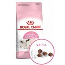 로얄캐닌 마더&베이비캣 2kg, 본상품선택, 상세 설명 참조, 상세 설명 참조
