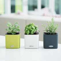 독일 레츄자 큐비컬러 화분 플라스틱 저면관수 인테리어 수입 화분, 브라운