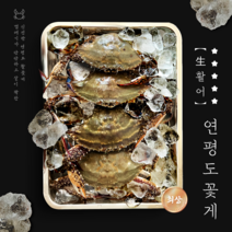 [선주직송] 국내산 서해안 연평도 꽃게 싱싱한 활숫꽃게, 2. 생숫꽃게 소 2kg(6-12미), 1개