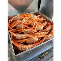 탐라인 선주직송 포항 구룡포 자숙홍게 박달급 3kg(10미내외), 1박스, 3kg