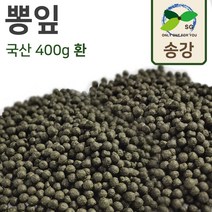 [송강] 뽕잎 원물 600g 국산 상엽 누에 루틴 포만감, 1개, 뽕잎 환 400g
