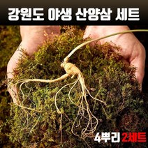 자연산 산양삼 산삼 6년근 국내산100%강원도 횡성 야생 산양산삼 4뿌리 사포닌 진세노사이드 수용성비타민 아미노산 무기질 면역력 효능 보약 효삼 고급 선물세트 인삼/수삼/장뇌삼, 2개, 5~6년근 1박스