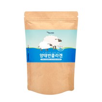 에너데이 양태반가루 콜라겐 분말 플라센타 100% 호주산 저분자피쉬콜라겐 펩타이드 단백질보충제 초유 아미노산 팩 히알루론산 이너뷰티 여성갱년기 먹는 동안피부 노화 효능 추천, 1개, 100g