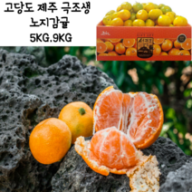 노지감귤 5kg 로얄소과 2s-M 랜덤, 9KG로얄 소과(2S-M) 랜덤
