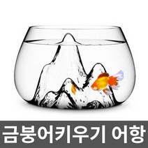 금붕어키우기 어항 개구리 탱크 수조 사육 니모키우기