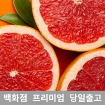 [특등급] 자몽7KG 자몽 자몽가격 자몽효능 자몽 자몽효능 자몽청만들기 메로골드자몽 자몽가격 수제청 레드자몽 과일청 자몽청 수제과일청 수제자몽청 과일 열, 7KG