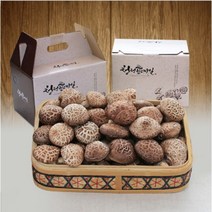 청정표고마실 참나무 원목 표고버섯1kg(중품) 원목표고버섯 무농약 국내산