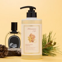 제이엠솔루션 라이프 진저 우드 샴푸 무화과 향, 2개, 500ml