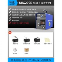 전해연마기 소형 용접 자국 제거기 정품 미니 Ruiling 전기 용접기/가스 보조 용접기 가정용 220v 모든 구리 스테인레스 스틸 이중 전압, MIG200E 공식 표준 구성