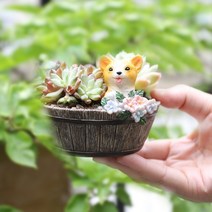 ROOGO 루고 다육이 미니화분 전원이야기 강아지 (다육식물 불포함)
