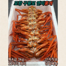 포항 구룡포 연지 홍게 특 3kg, B급(일반용)