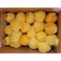 산지직송 제주 황금향, 황금향 상품 중소과 2.5kg