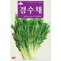 경수채씨앗 15g 민속씨앗(C0087)