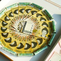 투명 머니 용돈 지폐 돈 홀더 말이 포장 캡 현금 케이스 돈말이 용돈박스 만들기 재료 DIY 돈케이크 만들기