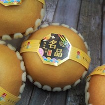 [매일새벽 수확] 고당도 신고배 선물용 가정용, 선물용 5kg (6~9과)