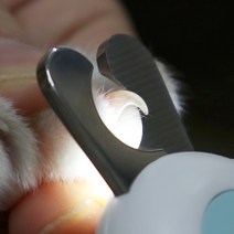 코코다움 안심발톱깎이 강아지 고양이 발톱갈이 손질 안전한 LED 반려동물, 1개