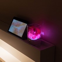 디퓨저 무드등 감성 혼자만의 공간 굿나잇 일상공간 나만의 감성친구 오로라, 아로마 오일, 1. 아로마오일_베르가못