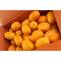 내고향농수산 참외 성주참외 직거래 꿀참외 특등품 3kg 5kg 10kg, 1박스
