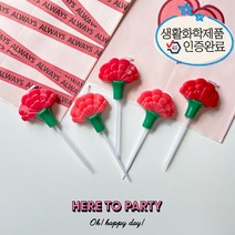 [인증완료] 카네이션초 카네이션캔들 어버이날 스승의날 생일 케이크초