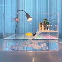 반수생 거북이 아크릴 어항 반수생 거북이 아크릴 어항 플라스틱 대형 어항 수조반수생 거북이 아크릴 어항, 단품(어항만), 중형(35x20x25)