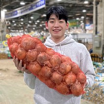 23년 국내산 햇양파 양파 최상품 1박스 양파 3kg 5kg 10kg, 1개