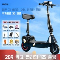 기함급전동킥보드 듀얼 로드 고성능 고스펙 전동스쿠터, 표준 브러시드 24v 핑크 40~50마일