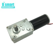 Bringmart-70kg.cm 토크 DC 웜 기어드 모터 12V 24V 미니 기어 박스 DIY 커튼 기계용 자동 잠금 엔진 반전, 02 12V 16rpm_05 Package five