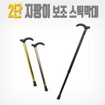 효도지팡이(2단) 노인 실버 시니어 보행보조 패션 요양 지팡이 선물용, 1개, 01_블랙