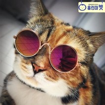 강아지 선글라스 러블리한 고양이 도글라스 냥글라스 여행 바다 휴가 물놀이 추억 촬영 인싸 캣 애견 카페 펜션 풀빌라 포토존 개셔니스타 말티즈 포메 말티푸 비숑 견생샷 인증샷, B 블랙