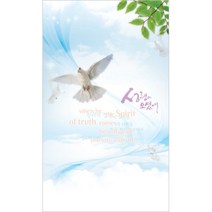 진흥팬시 4면 주보 1314 (100매입)