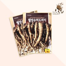 웰빙슈퍼도라지 3g 미래종묘 민속특수 씨앗