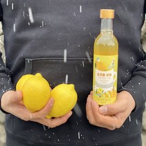 제주 레몬차 시럽 300ml, 없음