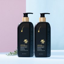 카론바이오 C3 샴푸 300mlx2, 검정