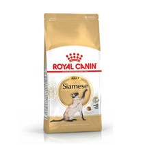 로얄캐닌샴 샴고양이사료 장건강사료 기호성 반려묘