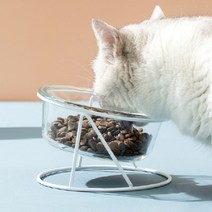 제이코 유리 강아지밥그릇 고양이밥그릇 물그릇, 1구 중형