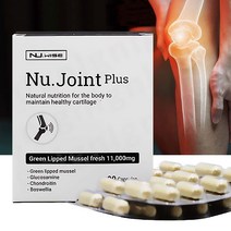 뉴질랜드 뉴와이즈 뉴 조인트 플러스 11000mg 90캡슐