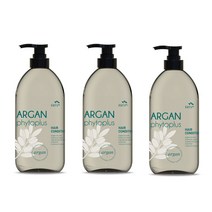 꽃을든남자 아르간 피토 플러스 린스 950ml 3개