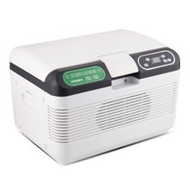 휴대용 냉장고 자동차 냉동 캠핑 차박 여행 인슐린 인터페론 펜 쿨러 4, ac220v, 에게