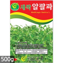 대용량 밀 새싹 씨앗 500g / 새싹씨앗 밀씨앗 밀새싹씨앗 새싹밀 밀씨 새싹씨앗밀, 08_새싹대용량_알팔파(500g)
