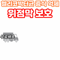 식약처 인증 헬리코박터균 증식 억제 위 점막 벽 보호 건강엔 스페인 감초 추출물 뉴트리가든 비타민 A C E 영양제 미네랄 아연 셀렌 함유 면역 식약청 인정 직장인 학생 프리미엄, 30캡슐x11박스 11개월