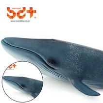 줌퍼닉 흰수염고래 동물도감 유아용블럭
