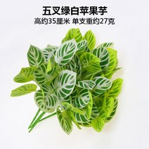 플라워월 꽃벽 식물벽 조화, 35