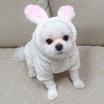도기코디 토끼 후리스 보아 후드티 강아지겨울옷, 아이보리