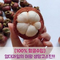프루틴 생 망고스틴 태국 항공수입 로얄과, 2.5kg 로얄과 (20-40과) 1박스
