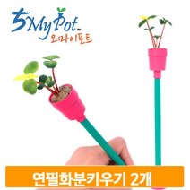 연필 화분 키우기 2개 식물가꾸기 세트 인테리어 멀티 준비물 유치원 교구